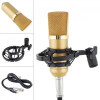professional bm 700 condenser microphone with circuit control and gold plated large diaphragm head for studios ktv