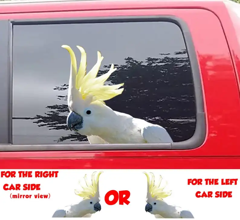 

2021 STICKER, Cockatoo window sticker, car sticker, Cockatoo car decal, funny sticker