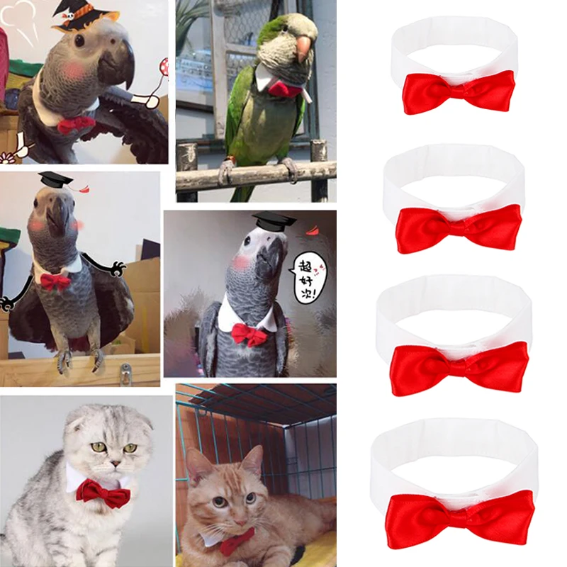 Красный хлопковый галстук бабочка для маленьких средних и больших птиц