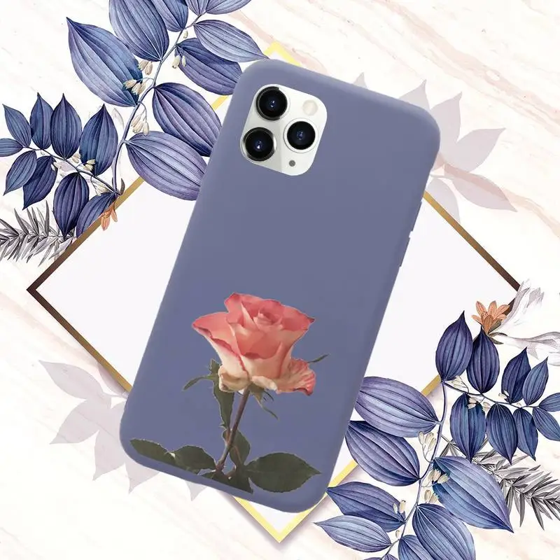 

Daisy flower rose Customer Phone Case Candy Color for iPhone 6 7 8 11 12 s mini pro X XS XR MAX Plus
