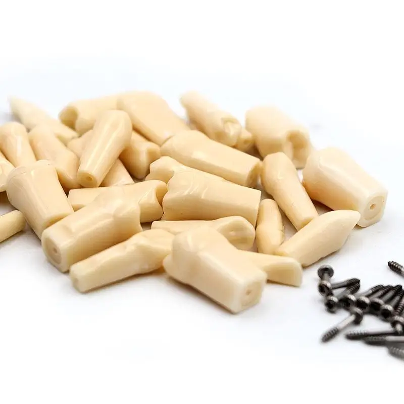 28 шт./компл. зубные постоянные зубы с прямыми корнями для 1:1 модель зубов 200 Тип