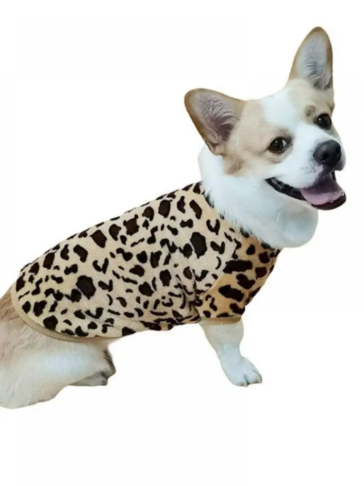 Новые товары для осени и зимы онлайн толстый свитер с леопардовым принтом