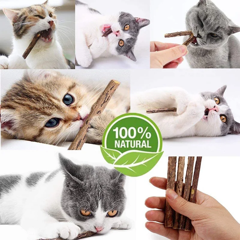 15pcs Cat Catnip Sticks Natural Silvervine Cleaning Teeth Molar Tools Kitty Chew Toy Mouse | Дом и сад
