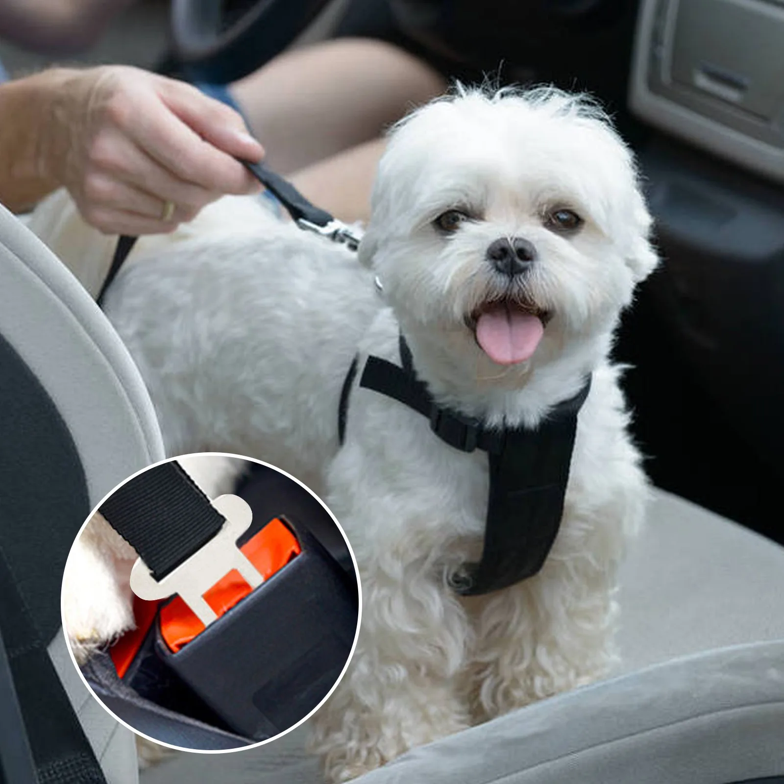 

Car Dog Belt For Dogs Pet Chiens Chats Animals Adjustable Lead Leash Small Medium Dog Harness for Cats Travel Dog Seat Belt