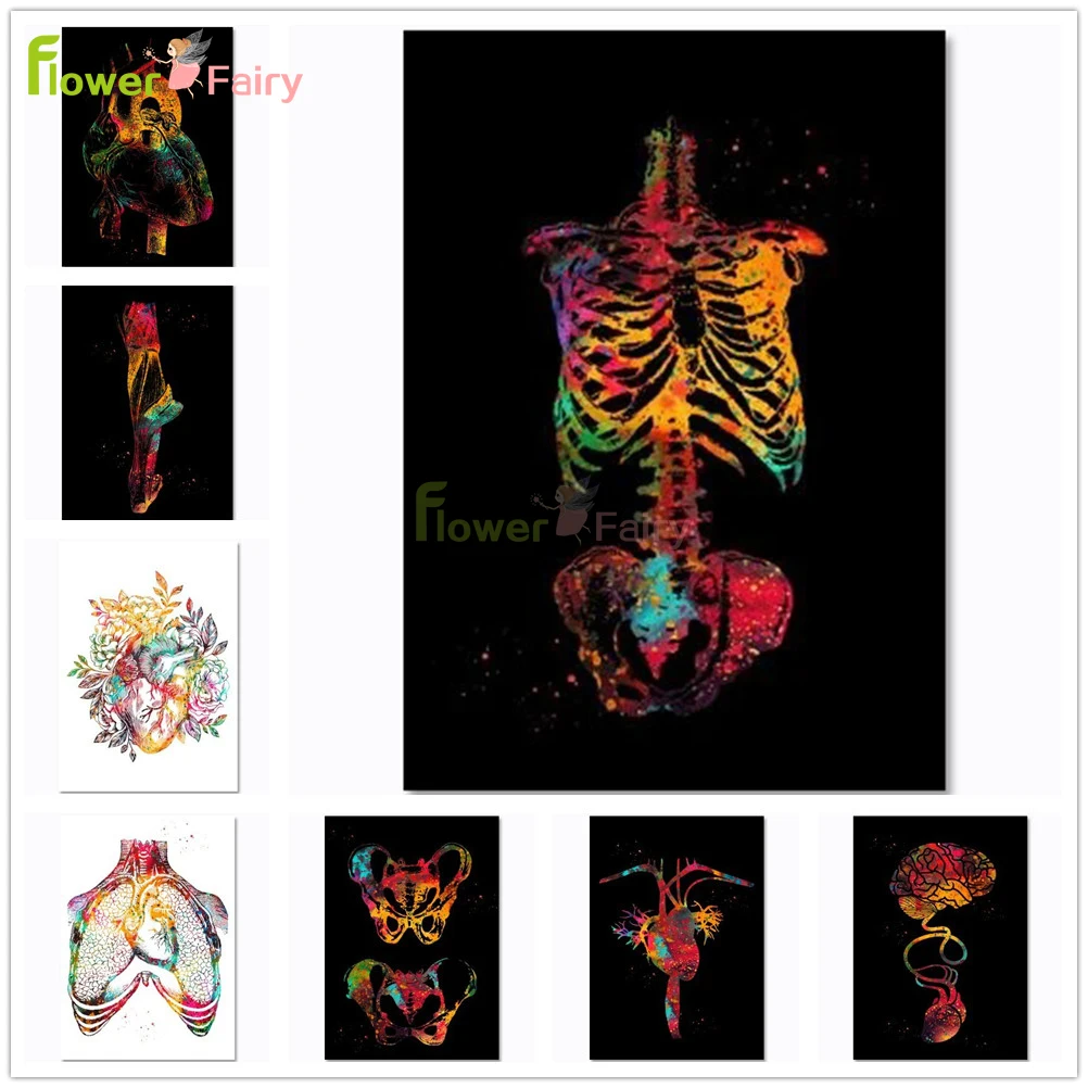 Красочные Кости Череп ортопедическая медицина скандинавский постер настенная