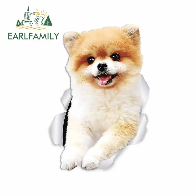 EARLFAMILY 13 см x 9 для Померанской собаки модные автомобильные наклейки