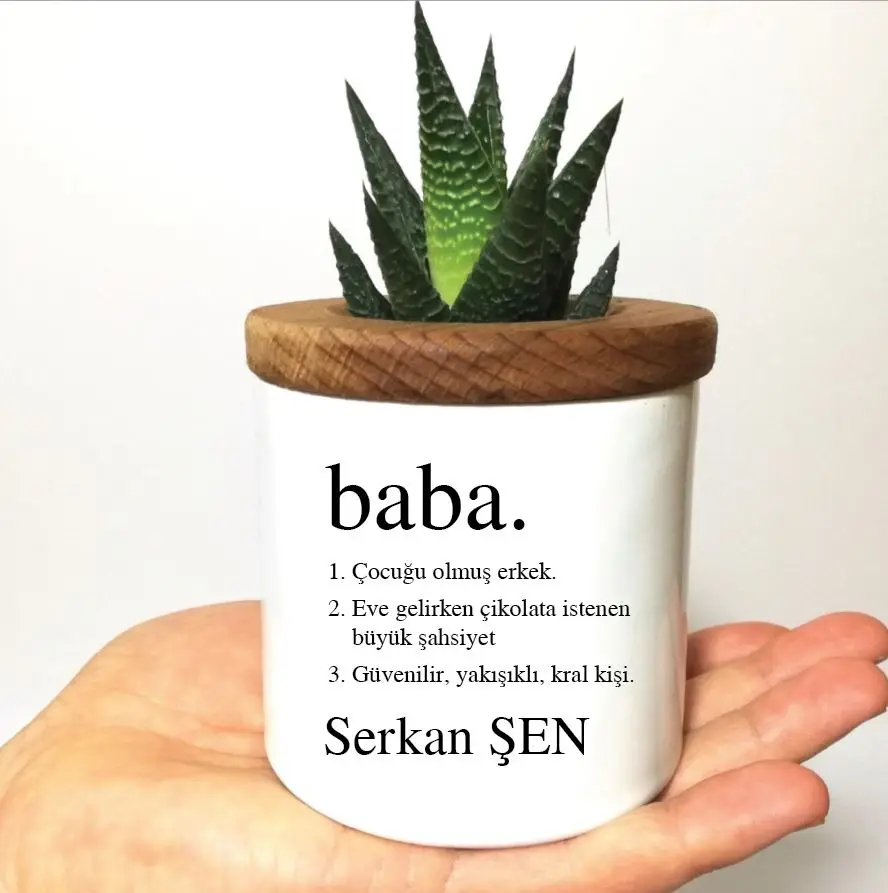 

Personalized Dad Dictionary Meaning Themed Sukulent - 1