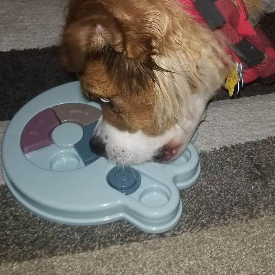 Игрушка головоломка для собаки развивающая IQ интерактивная игрушка щенка