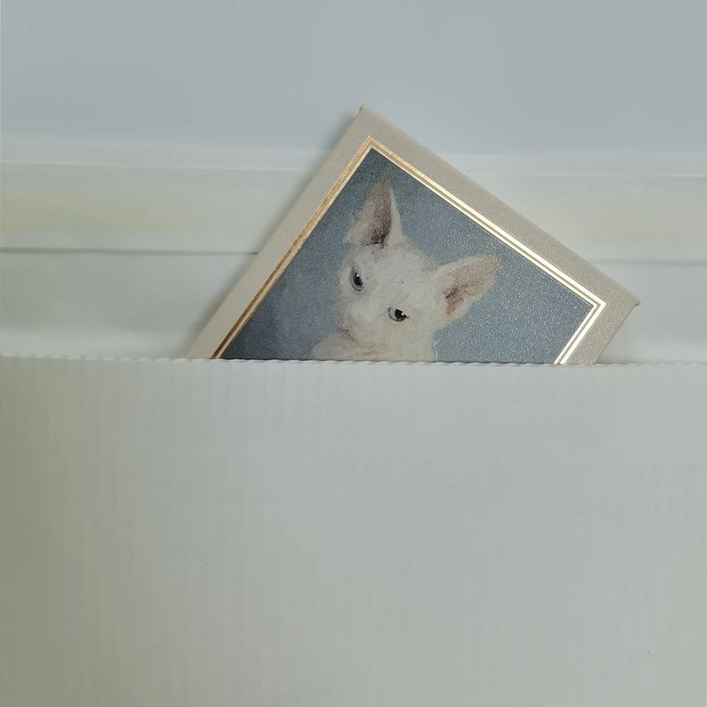 50 шт. самоклеящиеся подарочные пакеты для косметики 200 мм х 275 | Канцтовары офиса и