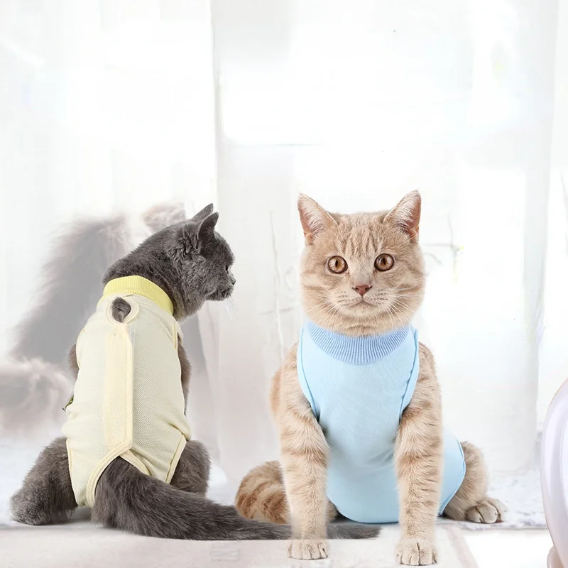 

Cat surgical gown, sterilization suit, weaning suit, postoperative suit, anti-licking pet cats and dogs thin clothes