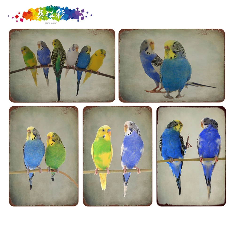 Mora цвет серия животные для птиц попугаев жестяная вывеска старинные