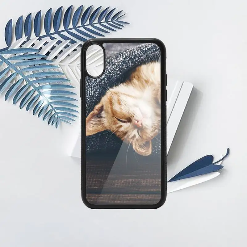 

Lovely animal cat Phone Case PC for iPhone 11 12 pro XS MAX 8 7 6 6S Plus X 5S SE 2020 XR