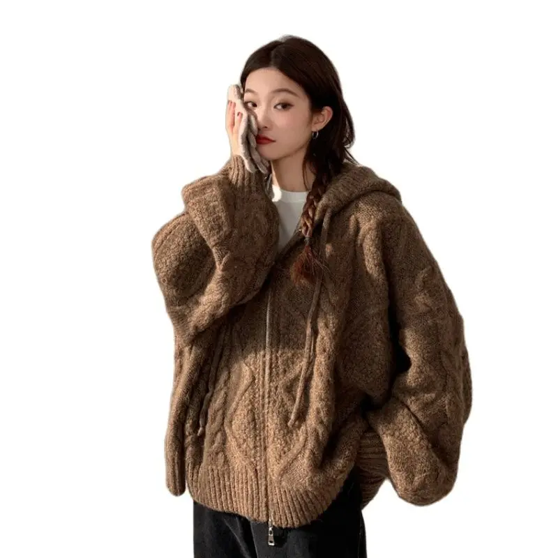 

M.Y.FANTASY 2021Women Autumn Winter Oversize Knitted Cardigan Casual Hooded Twist Sweater Zipper Long Sleeve Crochet Outerwear