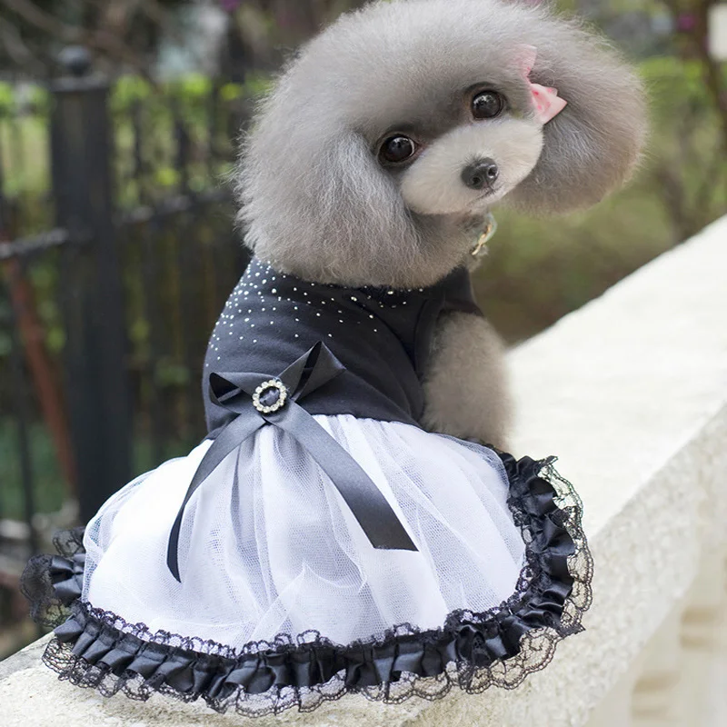 Summer Dog Dress Pet Clothes for Small Wedding Skirt Puppy Clothing Spring Fashion Jean XS-XXL | Дом и сад