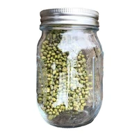 sprouting jar with stainless steel screen lid wide mouth quart mason sprouter