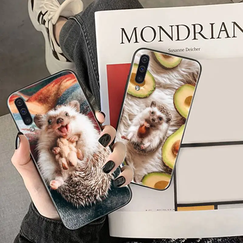 

Cute Hedgehog Phone Case For Samsung Galaxy M10 20 30 A 40 50 70 71 6S A2 A6 A9 2018 J7 CORE PLUS STAR S10 5G C8