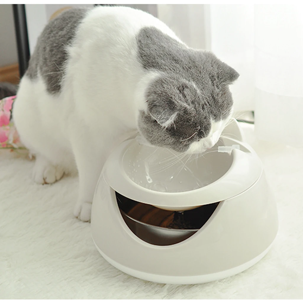 Маленькая собака кошка Электрический фонтан воды для кошек USB со светящимся