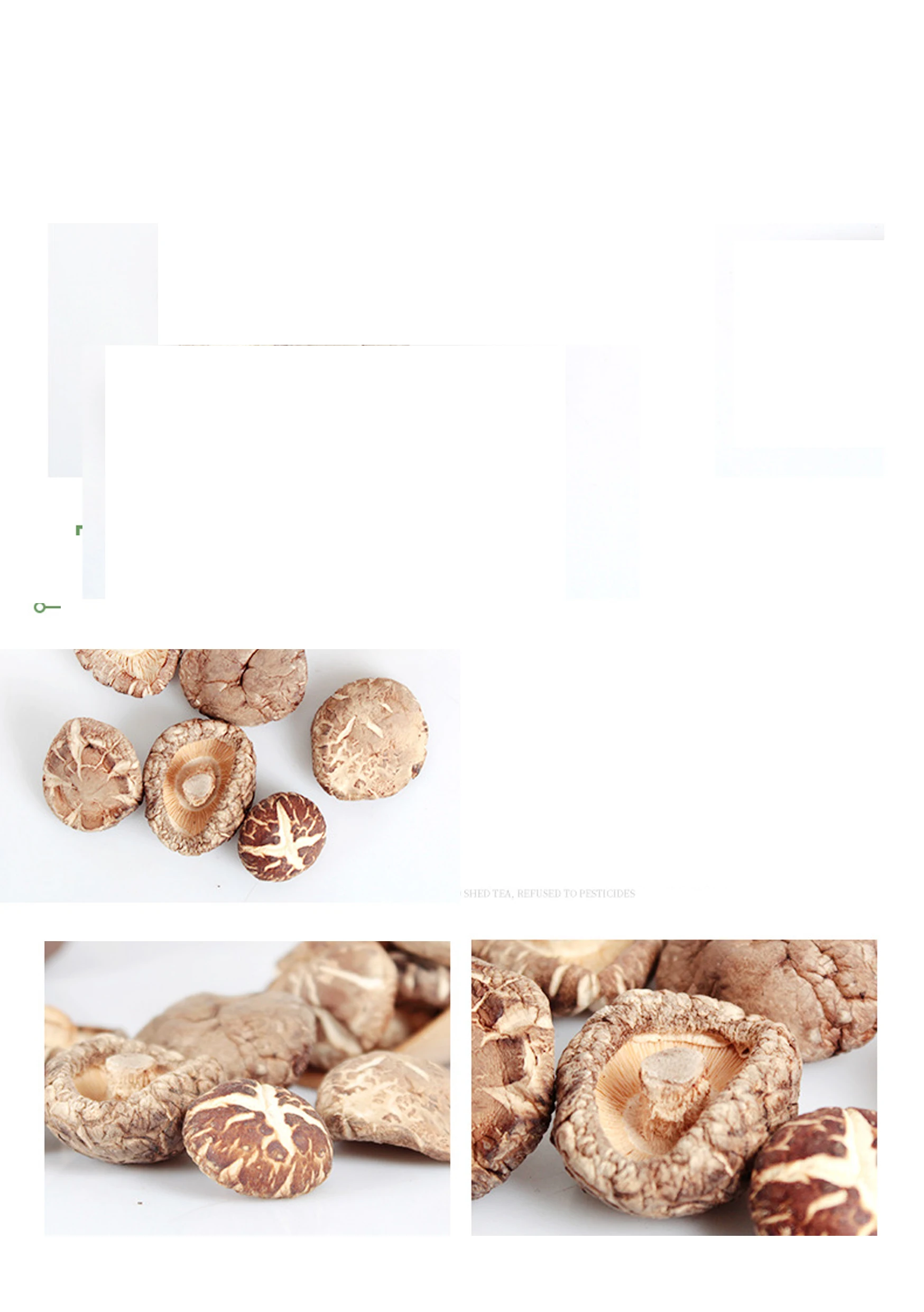 

Dried mushroom wholesale dried mushroom