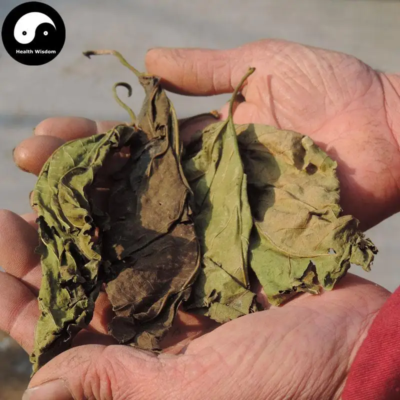 

Shuang Sang Ye, Folium Mori, Frost Mulberry Leaf