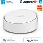 Умный концентратор Tuya ZigBee 3,0, совместимый с Bluetooth, Wi-Fi, работает с Alexa Google Home