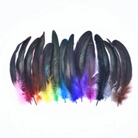 50pcslot colorful rooster feathers for crafts chicken decoration carnival diy wedding party accessories decor pheasant plumes