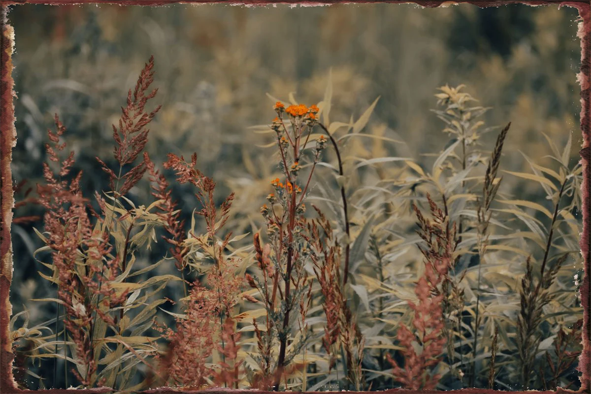 Уникальная жестяная вывеска в виде диких цветов оловянные таблички Настенный