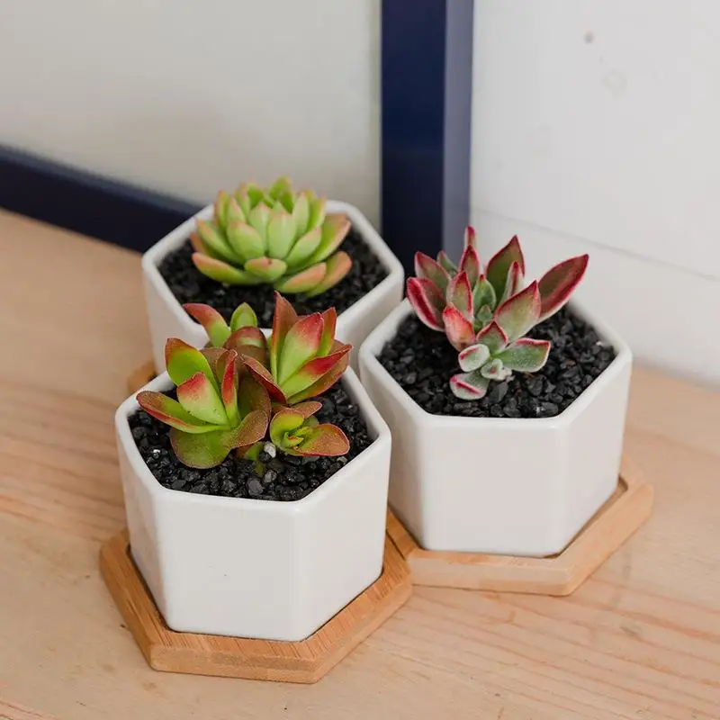 

1Set With shelf Nordic Iron Art Vase Ceramics Flower Pot Plant Flowerpot Planter Office Desktop Cafe Home Decoration Flower Rack