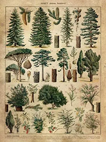 

Home Decoration Forest Metal Tin Sign Forest Wall Art Pine Tree Nature Forest Decor Outdoor Indoor Wall Panel