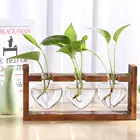 Гидропонная фотография Terrarium винтажный цветочный горшок прозрачная ваза деревянная рамка стеклянные настольные растения домашний бонсай Декор