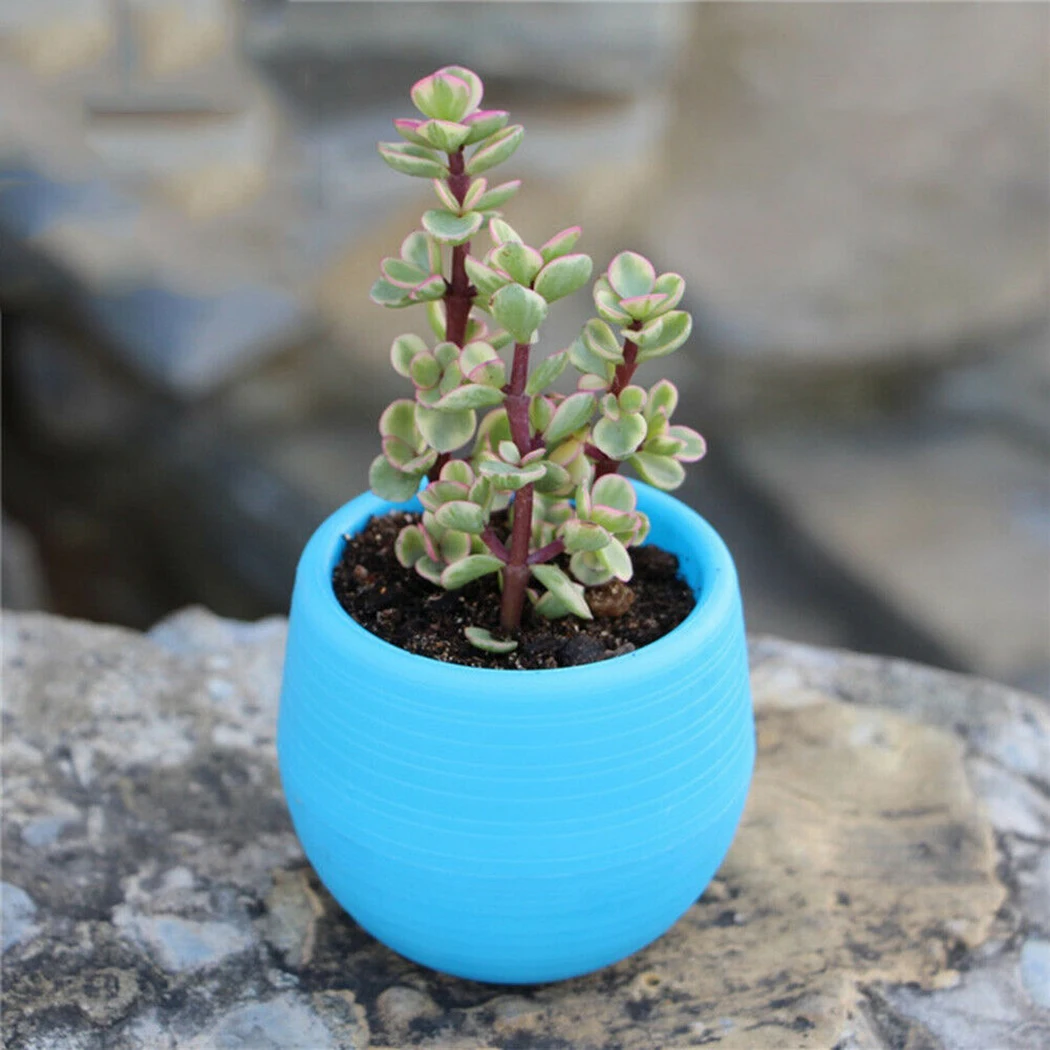 

Succulent Pot Flower Pots Mini Plant Planter Office Home decoration 10pcs/set