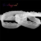 Кружевное нижнее белье с оборками и кружевной отделкой, декоративное ленты из спандекса, нижнее белье, 2, 5, 10 ярдов, 38 дюйма, 10 мм