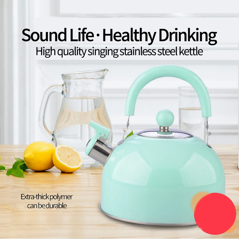 Полусферический индукционный чайник из нержавеющей стали 2 5 л|Чайники| |