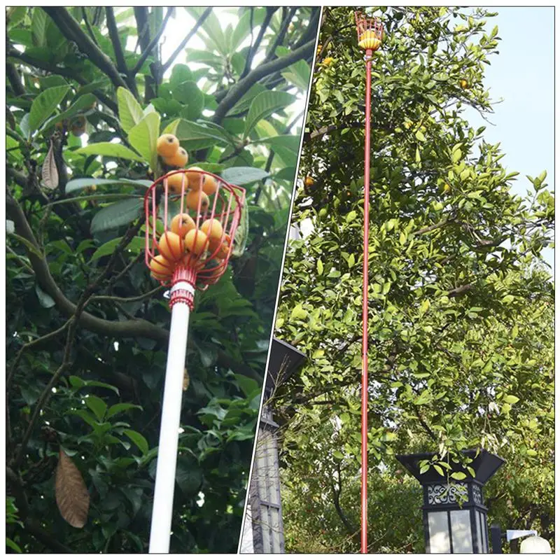2Pcs Fruit Picking Device Durable Gardening Apple Pear Peach Tool Garden Supplies | Дом и сад