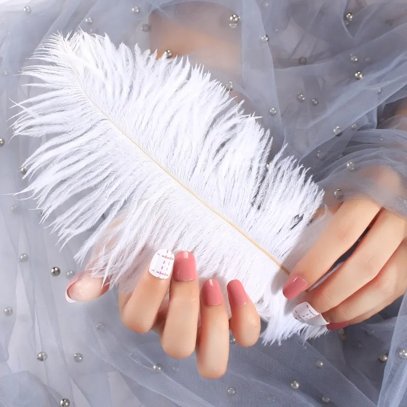 

White Grey Pink High Quality Ostrich Feathers Photography Accessories Photos Background DIY Decorations for Jewelry Mini Items