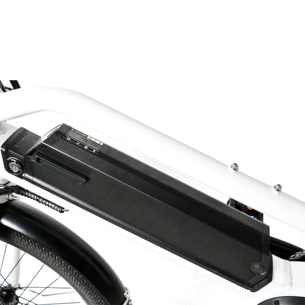 Груза падения США/CA 24 дюймов 48V750W грузовой Ebike с задним двигателем ступицы и 500C красочный дисплей для семьи или UberEats