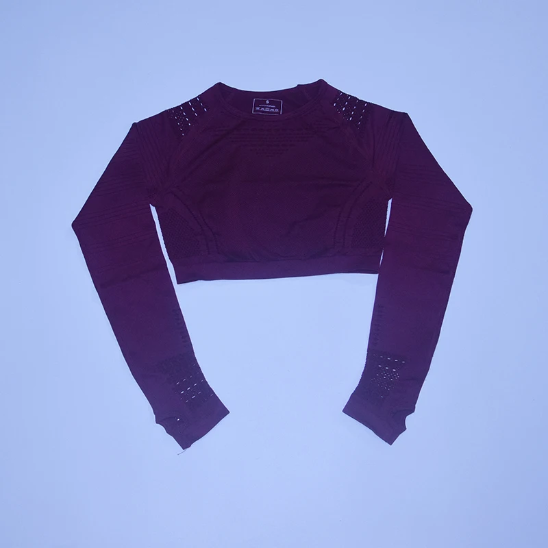 dark purple top Безупречный вязаный бесшовный комплект для йоги Женская одежда для фитнеса с длинным рукавом спортивная одежда леггинсы для спортзала полый укороченный топ 2 шт. спортивный костюм - Цвет: dark purple top