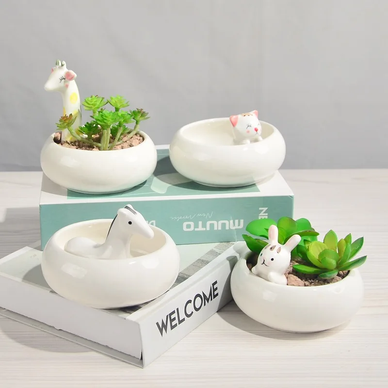 

Ceramic Pot Cartoon Animal Succulent Planter Cute Flower Pot Home Desktop Succulent Pot Home Decoration