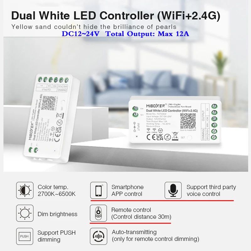 New arrival Dual White LED Controller 2.4G Remote Wireless RF WiFi Voice Control DC 12V 24V Music Dimmer Total Output Max 12A