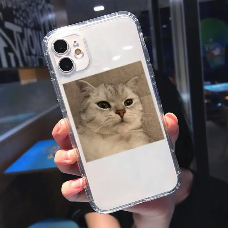

Cute cartoon cat Phone Case Transparent for iPhone 11 12 mini pro XS MAX 8 7 6 6S Plus X 5S SE 2020 XR