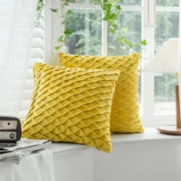 Pillow-Case Velvet Cushion 2 Pack 18x18 Inch (45cmx45cm) Soft Square Decorative Throw Pillowcases for Livingroom Sofa Bedroom
