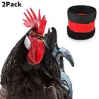 2 шт.лот воротник на шею для цыплят и домашних животных для петушиных принадлежностей