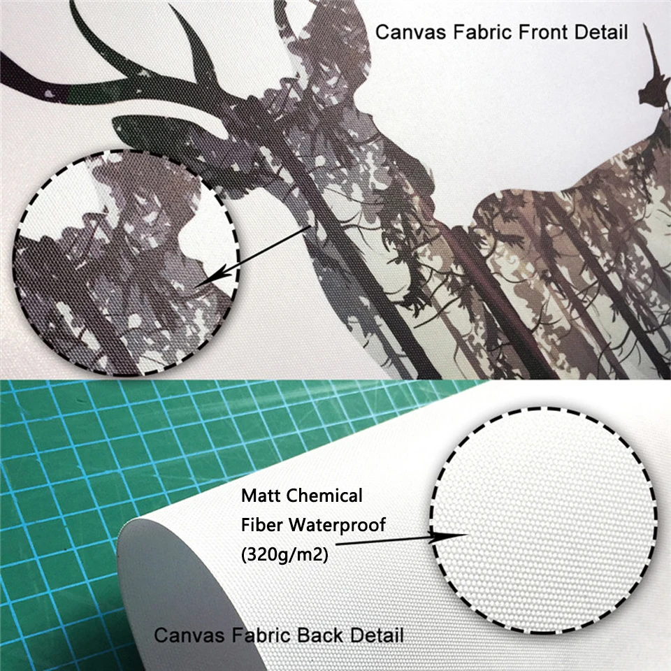 Австралийская птица Печать Черный Cockatoo настенное искусство темно-синий попугай