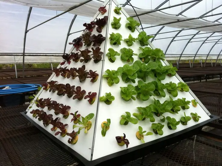 Аэропоники из ПВХ 8. Система Aeroponics для овощей полная арматура системы Aeroponics.|fitting