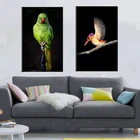Картина с зеленым попугаем, kingfisher, HD, печать на холсте, постеры для гостиной, настенное искусство, Классическая птица, Хом, Декор, животное, Картина на холсте