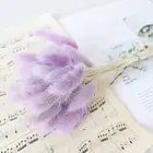 Натуральные сушеные цветы, букеты, зайцехвост, трава, зайцехвост, Свадебный декор, сушеные цветы кролика, 30 шт.