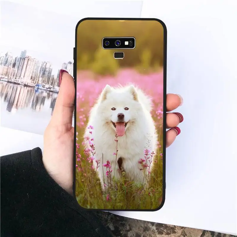 

lovely Samoyed dog Hard Phone Case For Samsung S20 Ultra S7 edge S8 S9 S10 plus note9 10 20 A50 51 71