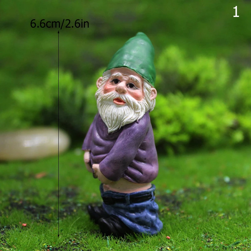 

Home Decorations Funny Figurines Mini Garden Dwarf Ornaments Handicraft Micro Landscape Decoration