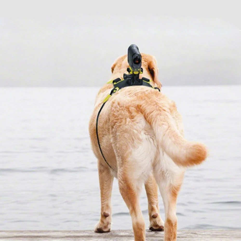 Экшн камера с креплением для собак экшн Sony в виде камер функцией AS300V AS200V AS50V |Чехлы