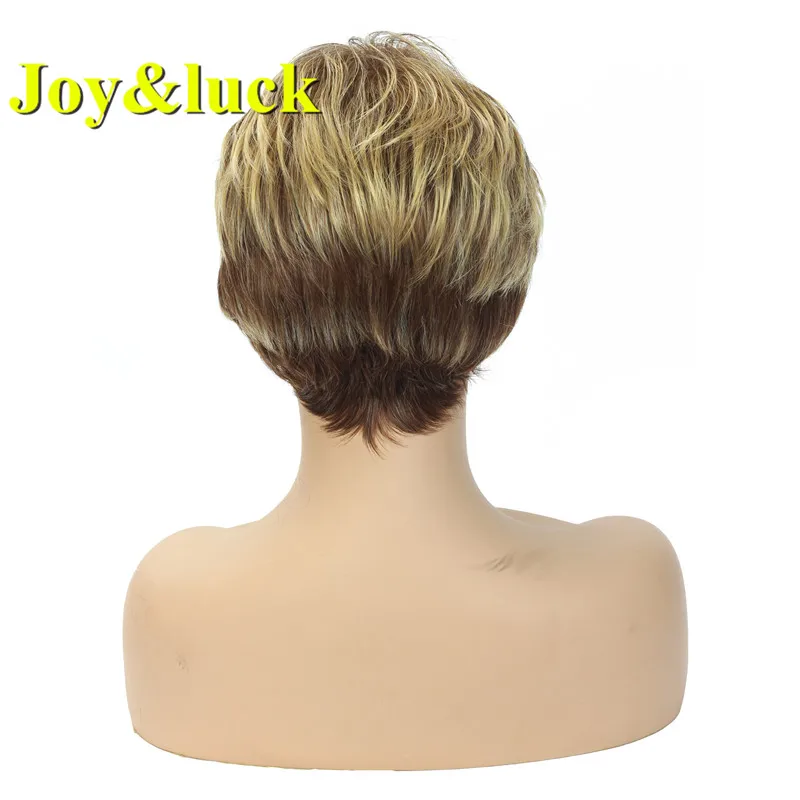 Joy & luck короткий смешанный коричневый парик Синтетический Модный женский