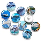 Пуговицы с морскими звездами, дельфинами, ракушками, морской лошадью, Медузой 18 мм, 10 шт., Смешанные Круглые Стеклянные Кабошоны для фото, стильные ювелирные изделия с кнопками-застежками